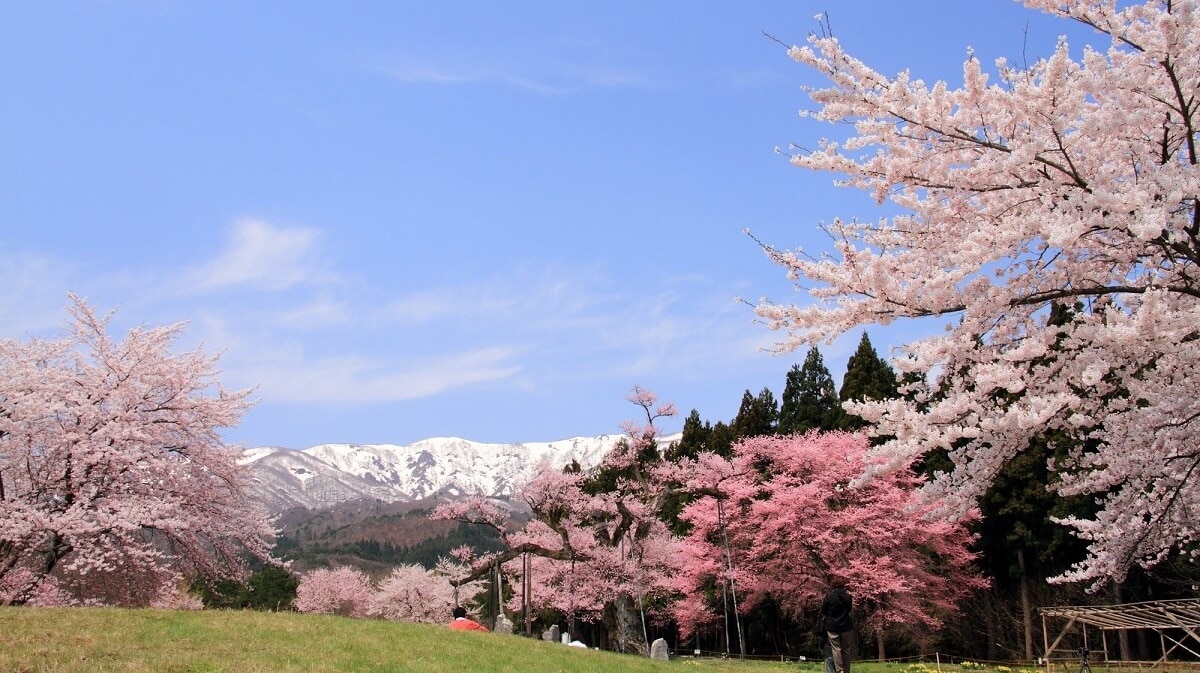 Voller Charme! 5 Touristenplätze in der Stadt Shirataka, Präfektur Yamagata, in der Präfektur Yamagata