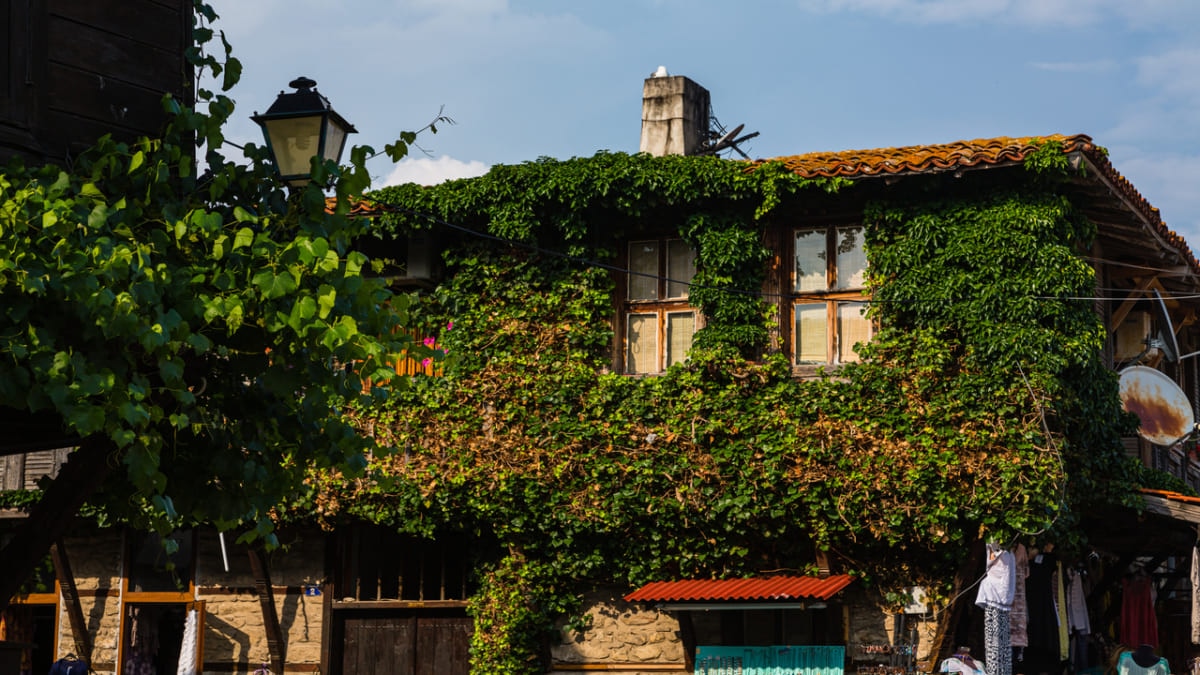Rosen, Joghurt und Wein erwarten! Neun UNESCO 