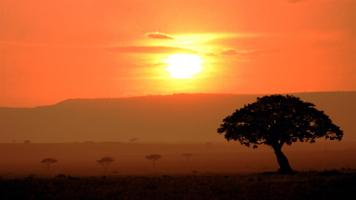 Schöne Natur und Wildtiere erwarten! 5 Empfohlene Touristenplätze in Kenia