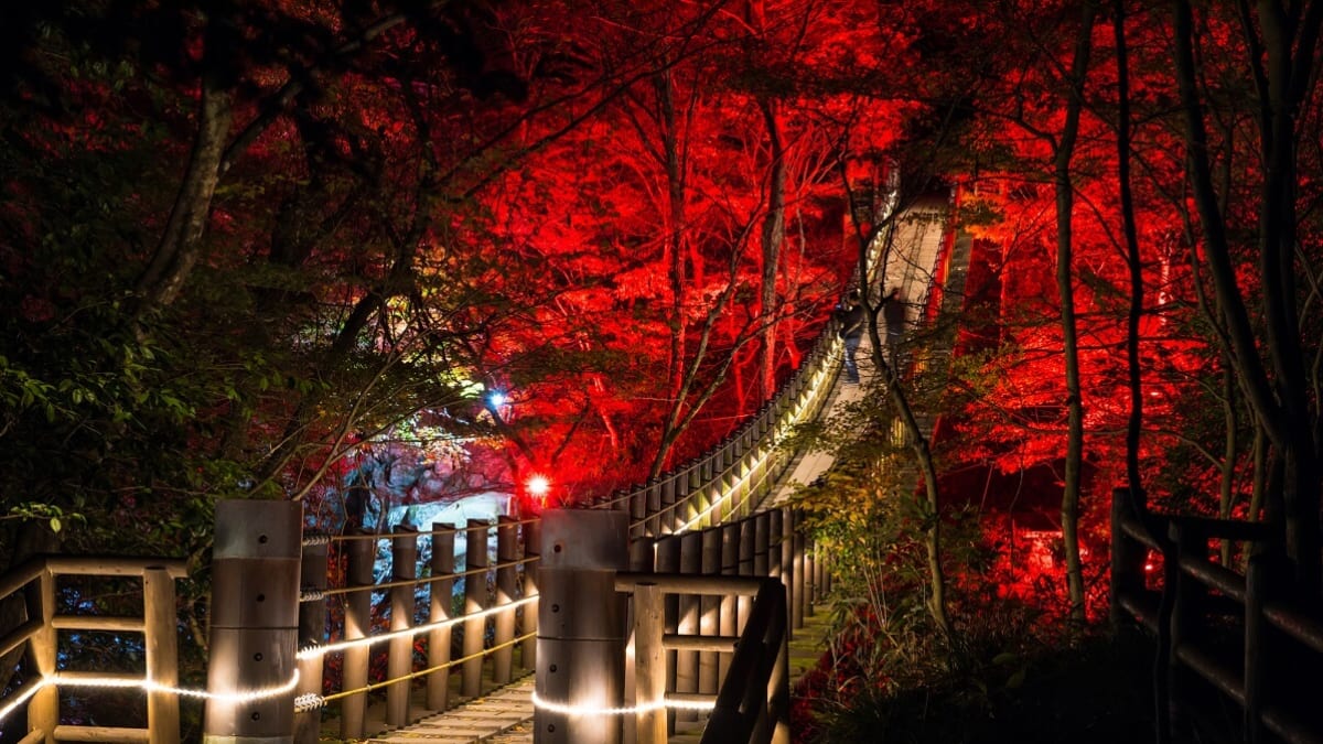 8 malerische und naturgefüllte Touristenplätze in Ibaraki im Winter genießen