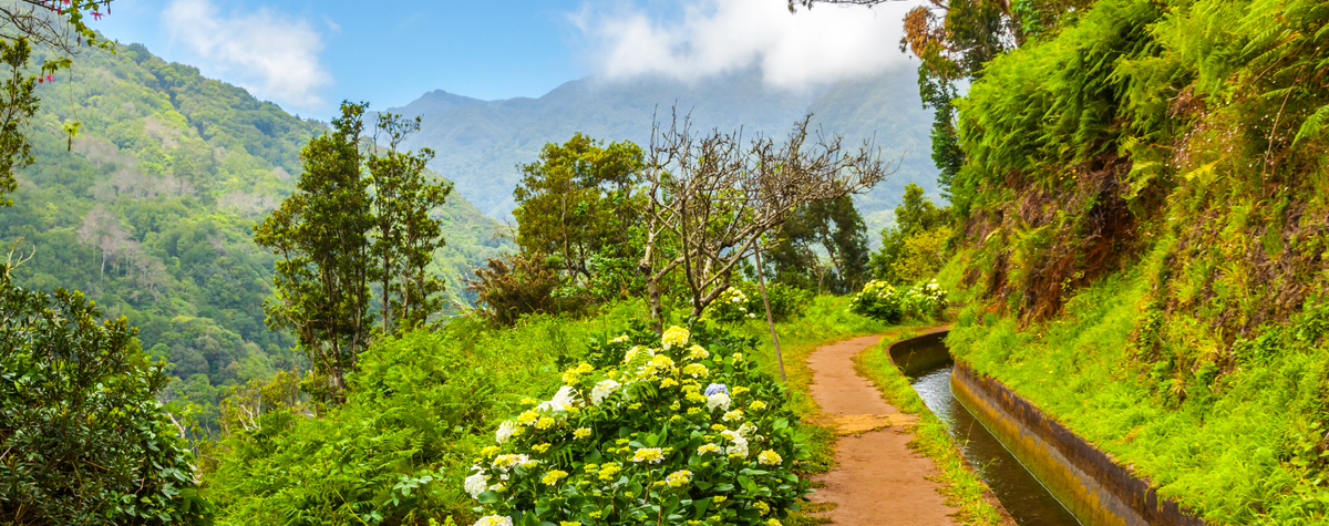 Nachhaltigste Ziele in Madeira