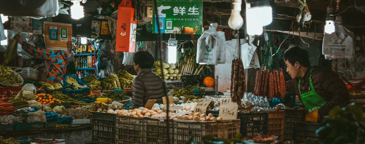Navigieren in der Welt: Überwindung von Sprachbarrieren als Nomade überwinden