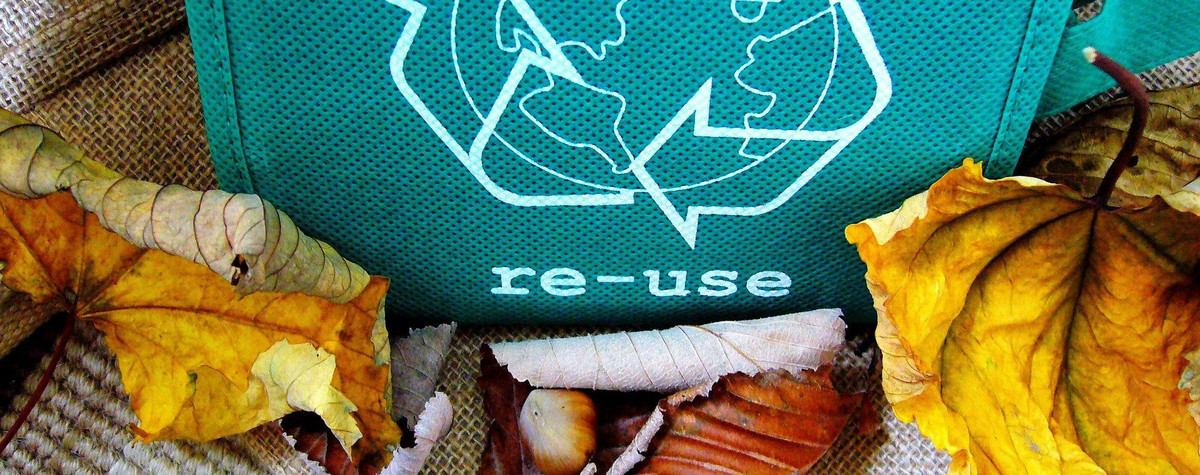 Grundlegende Schritte, um nachhaltiger zu sein