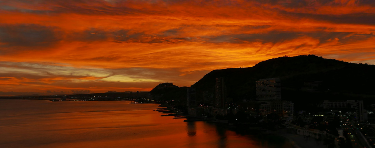 Interview mit Flatio Vermieter Sandra Escricano: Digitale Nomaden als Mieter und was es braucht, um ein erfolgreiches Mietgeschäft zu führen