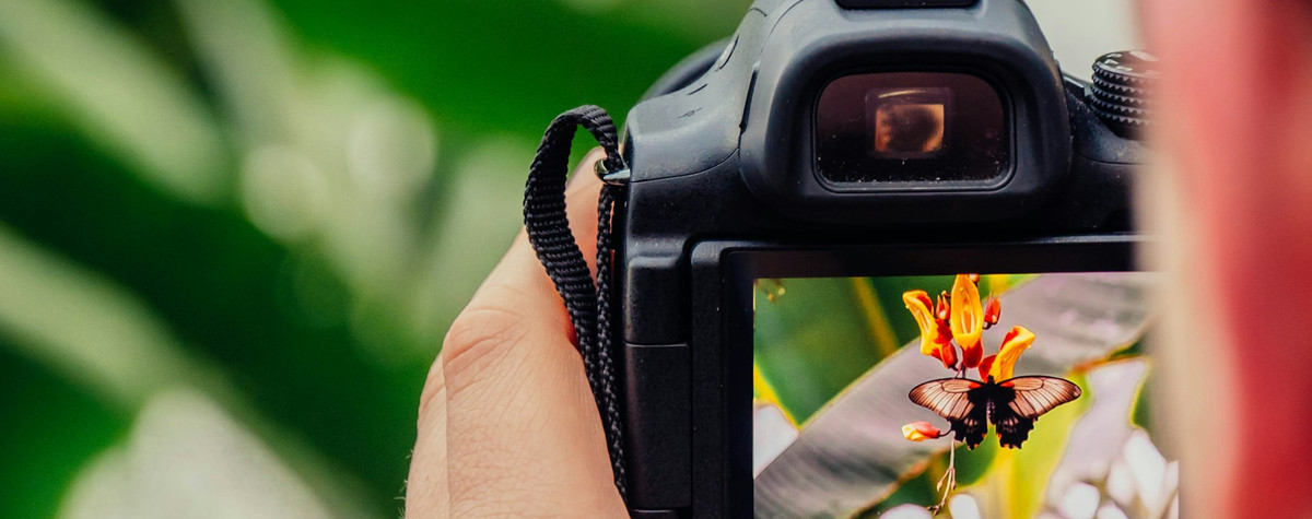 Wie man die Reisefotografie monetarisieren und die Welt erkunden