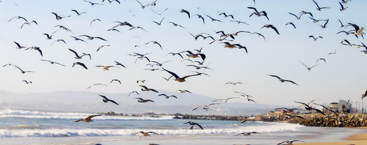 Costa Da Caparica Guide für digitale Nomaden