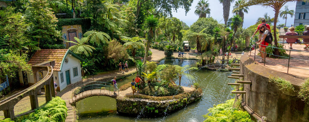 Woher in Madeira gehen: (familienfreundliche Orte, beste Orte für digitale Nomaden, beste Wanderrouten, Reisetipps und mehr)