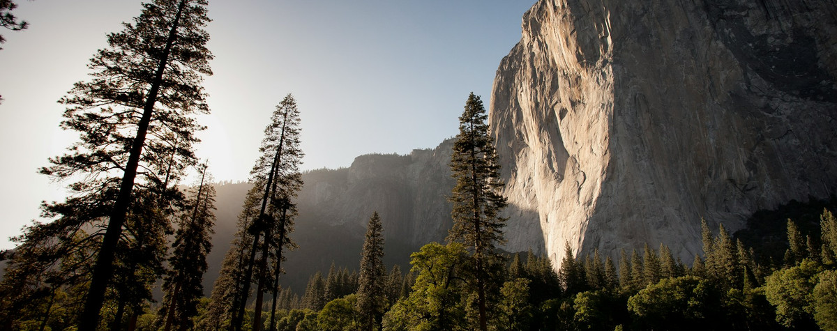 Umarmung der Natur: Die wichtige Verbindung für digitale Nomaden, die an Bildschirme gekettet sind