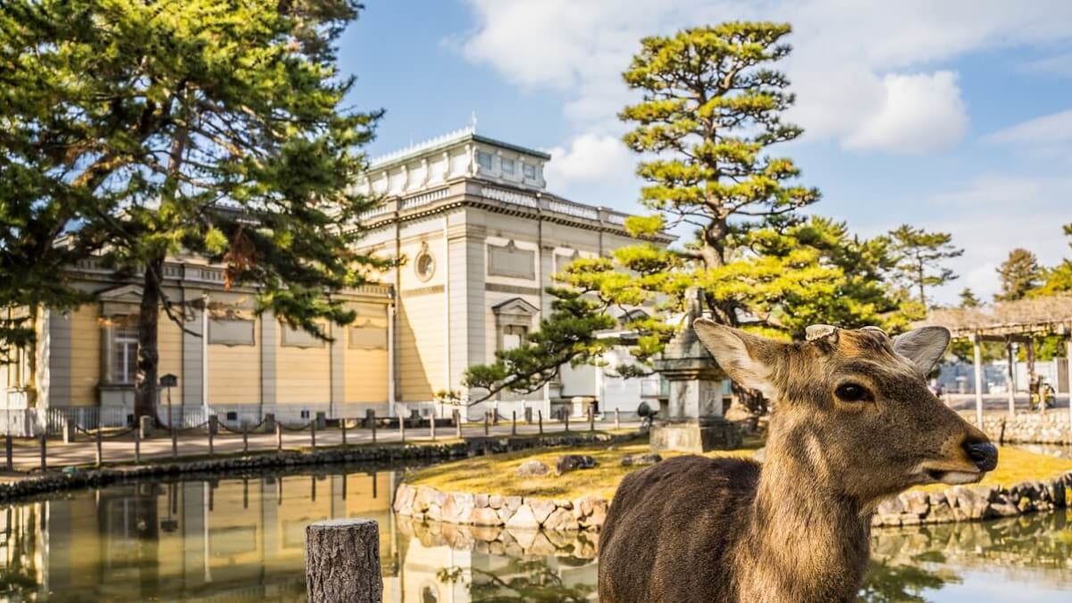 An regnerischen Tagen wird im Innenbereich empfohlen! 19 Interaktiv und historisch