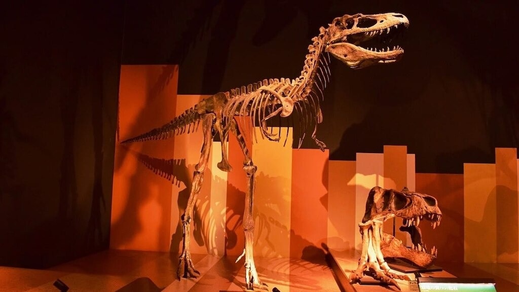 Erfahren Sie mehr über die Geschichte der Erde im Iwaki City Coal &amp; Fossil Museum „Horuru“ in der Präfektur Fukushima