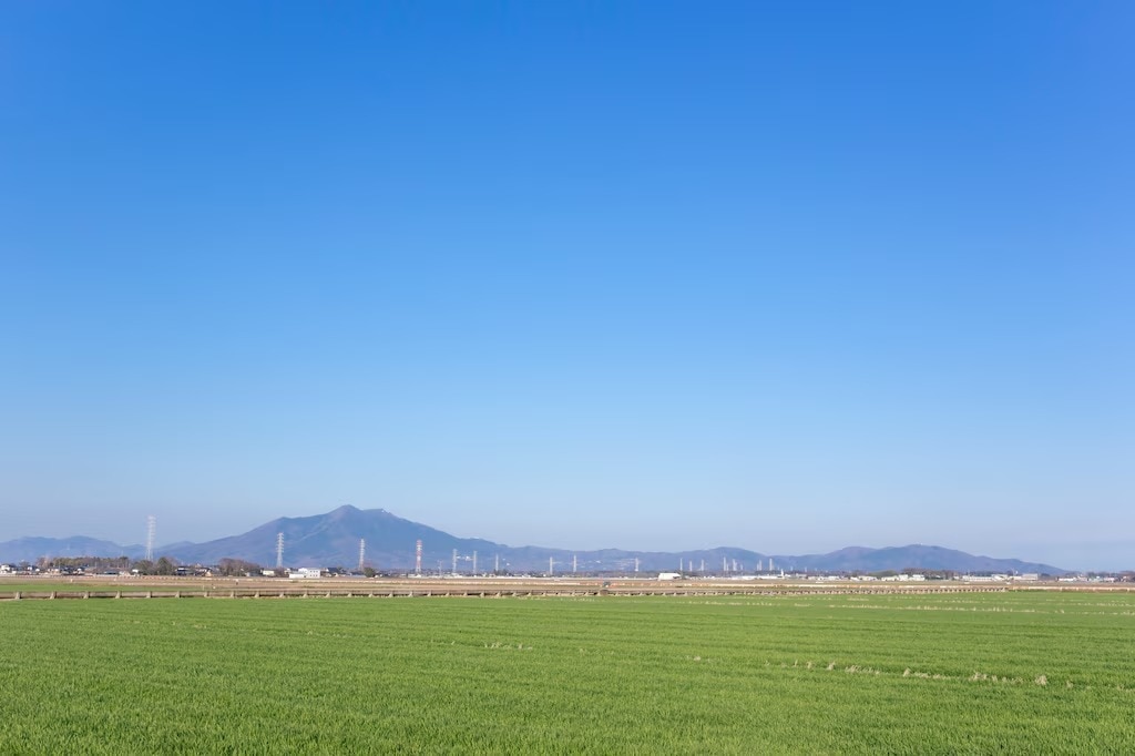 Genießen Sie Shimotsuma voll und ganz! 6 beliebte und charmante Touristenziele