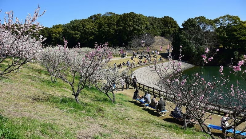 25 Empfohlene Sehenswürdigkeiten in Chita City: Ein Spaziergang durch Natur und Geschichte