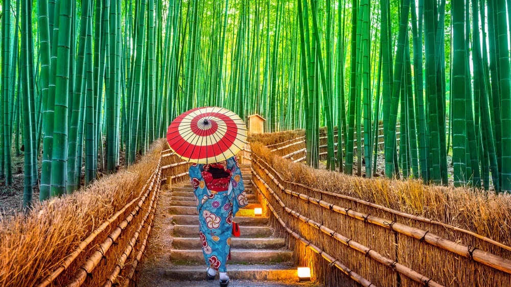 10 Empfohlene Hotels in der Umgebung von Arashiyama, Kyoto-ein naturreicher und beliebter Sightseeing-Ort