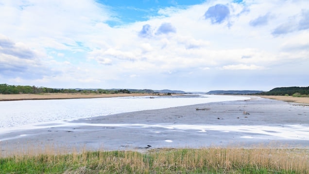 Genießen Sie die Kamikita 