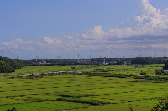 9 Empfohlene Touristenplätze in Sakura City 