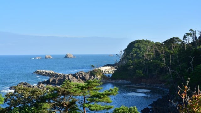 Nicht nur frische Meeresfrüchte! 14 Touristenplätze in Kesennuma musste,