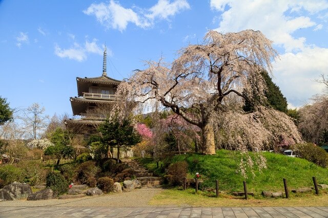 7 Touristenplätze in Gokase Town! Entdecken Sie eine Stadt voller Geschichte und Natur