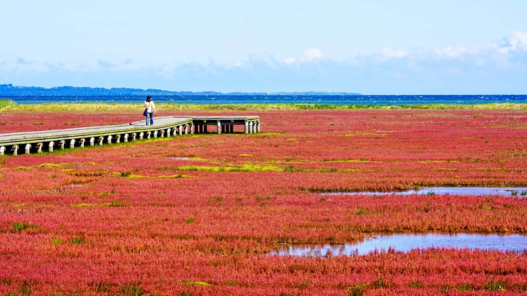 Notoro Lake: Zugang, nahe gelegene Attraktionen und Japans größte Korallengraskolonie!