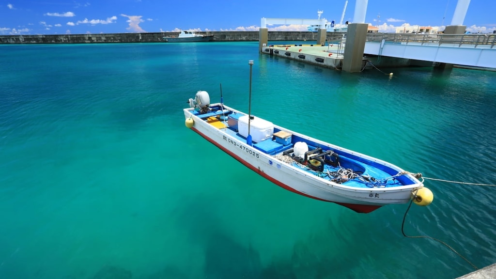 5 Souvenirs von Tarama Island! Empfohlen einfache Süßigkeiten aus braunem Zucker