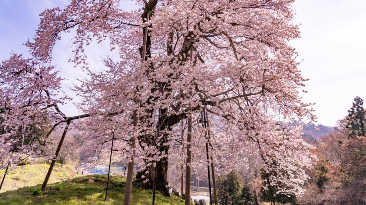 7 Empfohlene Touristenplätze in Kawamata Town, Präfektur Fukushima! Genießen Sie das Seidendorf voll!