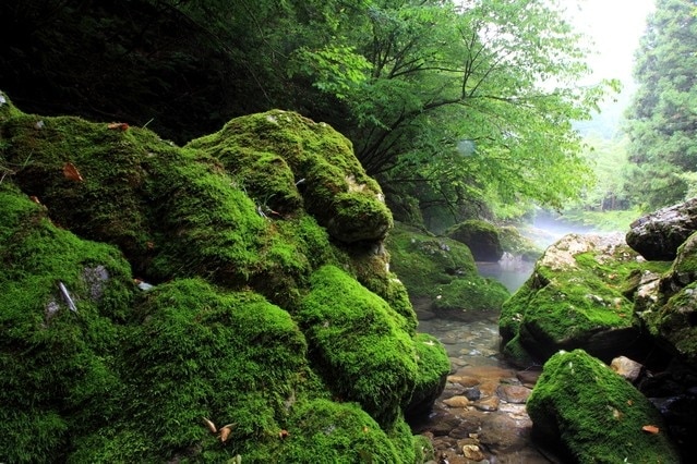 Wenn Sie in der Präfektur Yamagata City in der Gifu-Präfektur gehen, finden Sie hier 7 Touristenplätze für Muss!