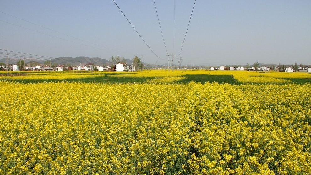 5 Touristenplätze in Hanzhong, Provinz Shaanxi für Geschichtsfans-von Liu Bang bis zur Romantik der drei Königreiche!