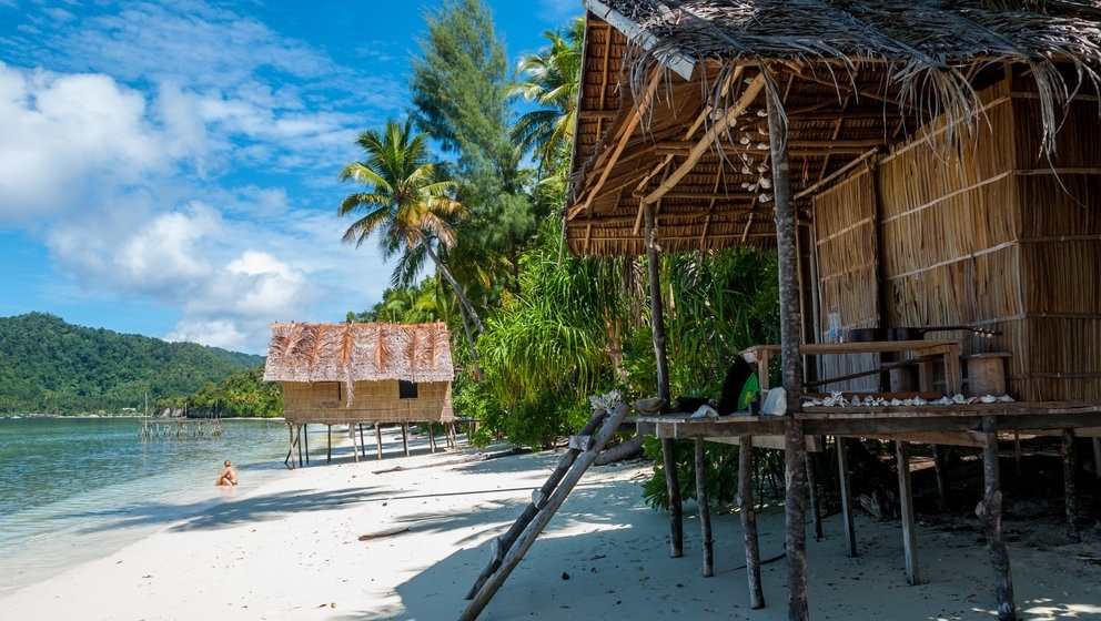 Paradies des Südpazifiks! 4 Souvenirs aus der Natur-reichen Papua-Neuguinea