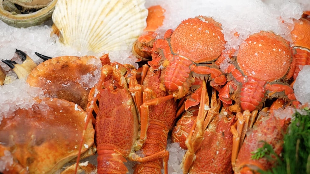 Authentisch und sicher! 4 Must-Try-Meeresfrüchte-Restaurants auf der Südseite der Kaohsiung Station