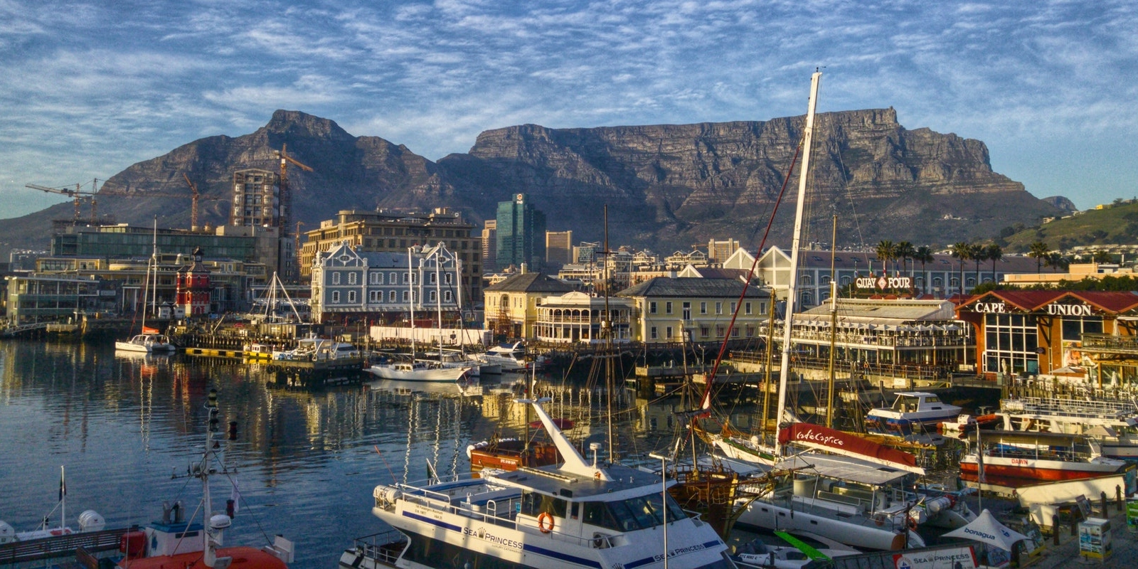 Die 12 beliebtesten Cowork 