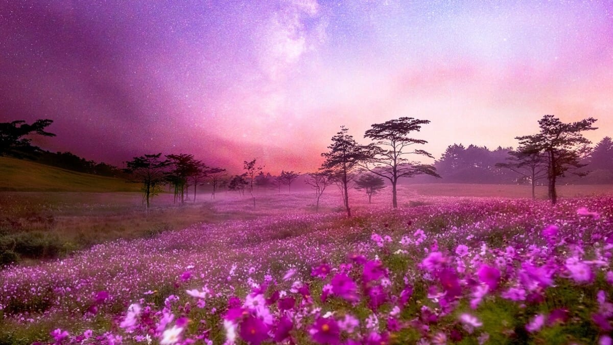 Sehen, gehen und essen in Saku City, Nagano (Shinshu)! 4 Touristenplätze für Muss