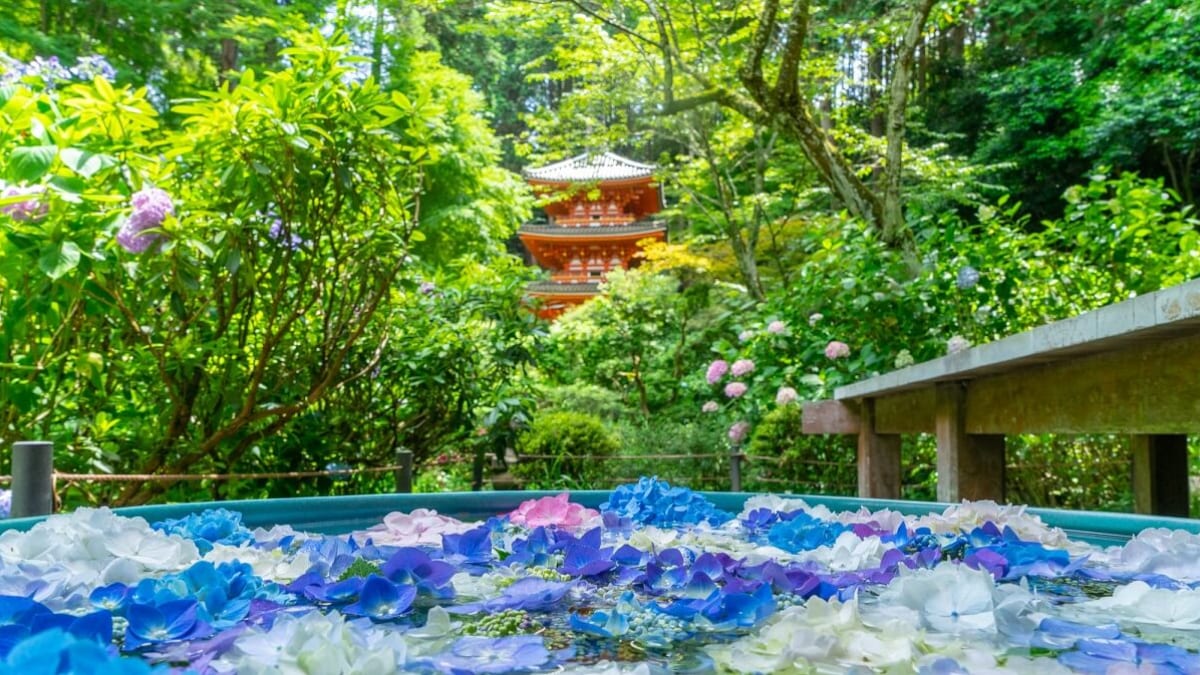 KIZUGAWA: Einst eine imperiale Hauptstadt 