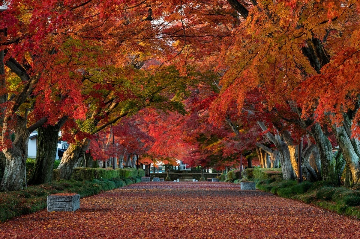 Besichtigung in Nishinasuno! Entdecken Sie ein friedliches Ziel, an dem sich Menschen und Natur verbinden