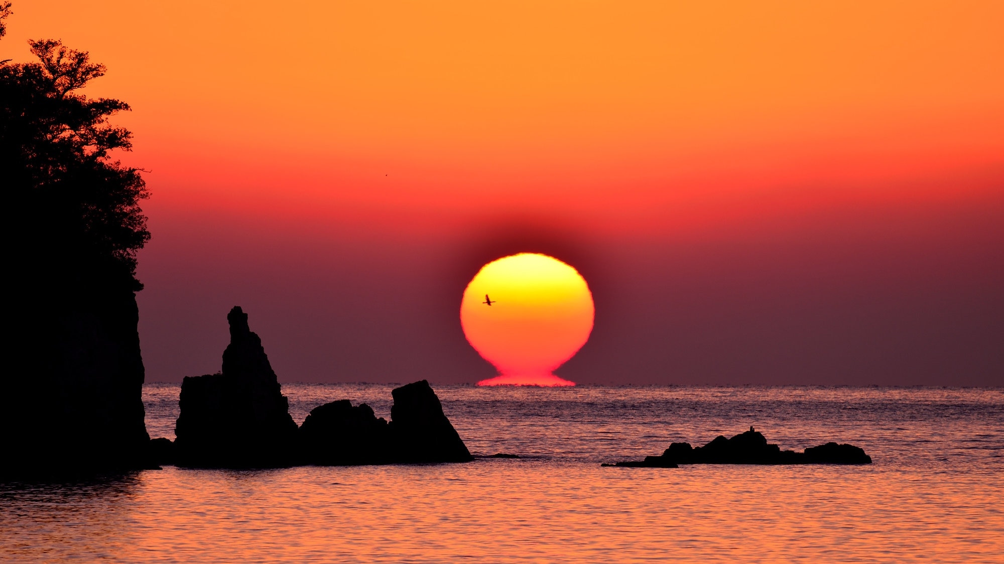 4 Empfohlene Touristenplätze in Sukumo, Präfektur Kochi 