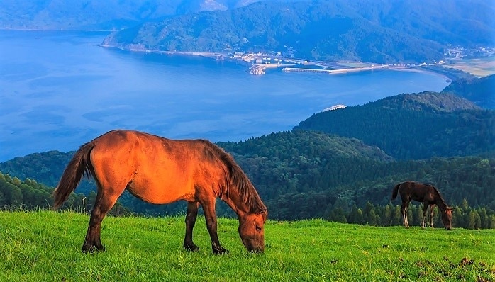 5 Empfohlene Touristenplätze am TOI CAPE, Miyazaki 