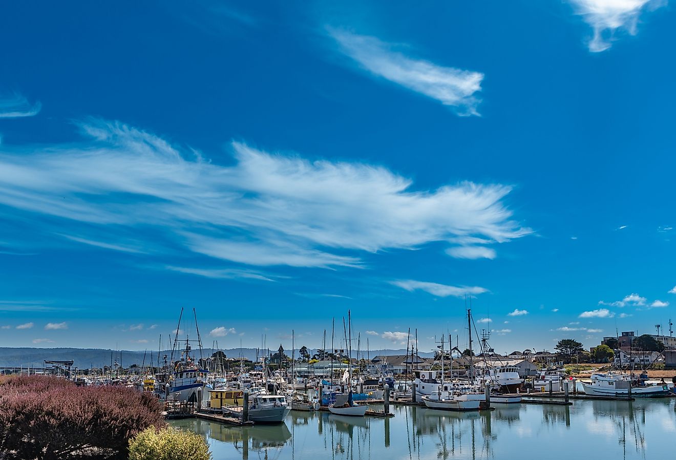 7 beste Orte, um im Jahr 2025 in Kalifornien zu Hause anzurufen