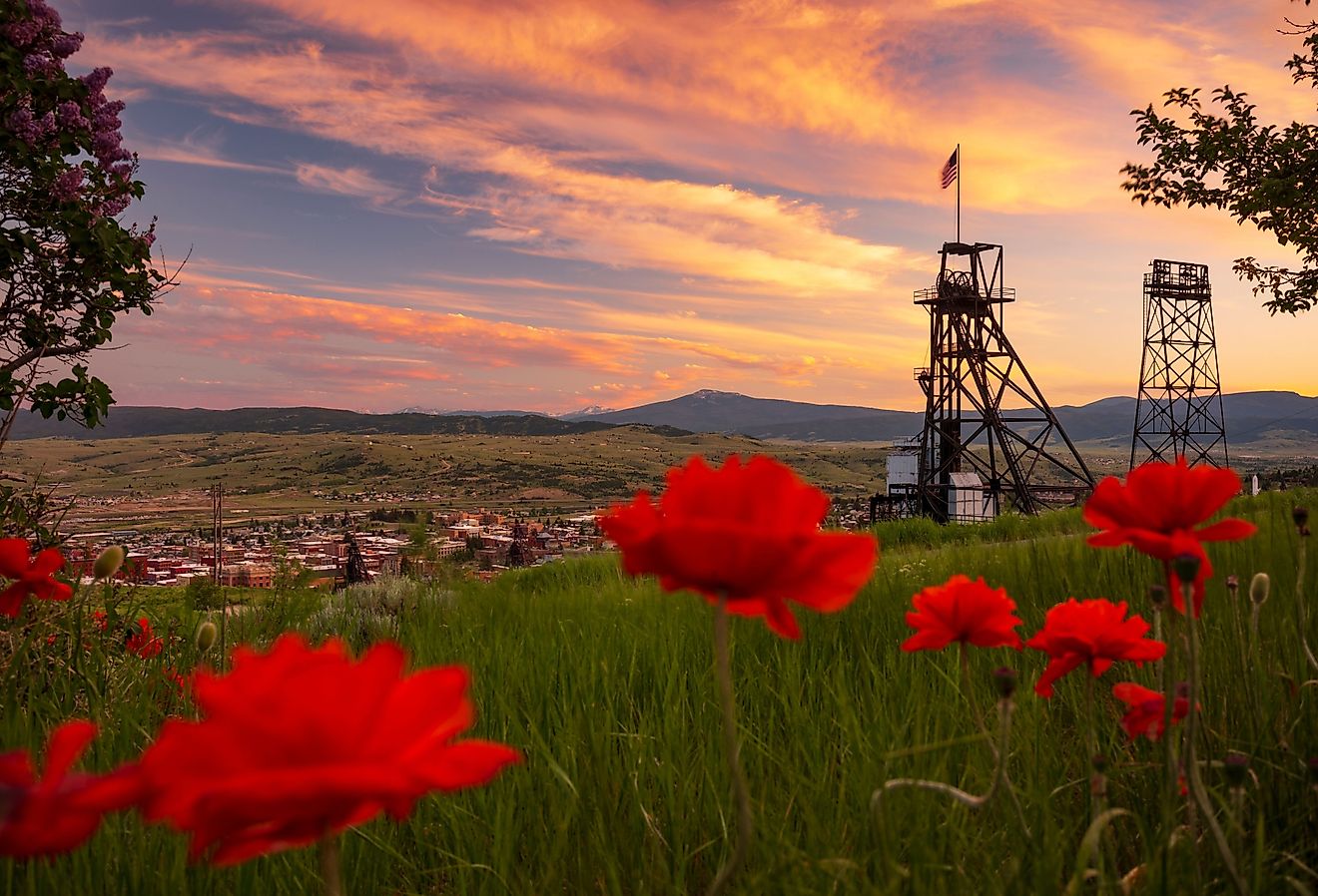 Die 8 können Städte in Montana nicht missbilligen