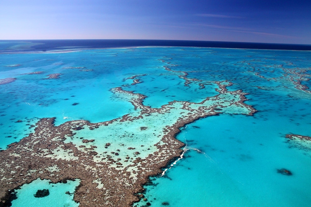 Das weltweit größte Korallenriffbereich! Der Charme des Weltkulturerbes Great Barrier Reef