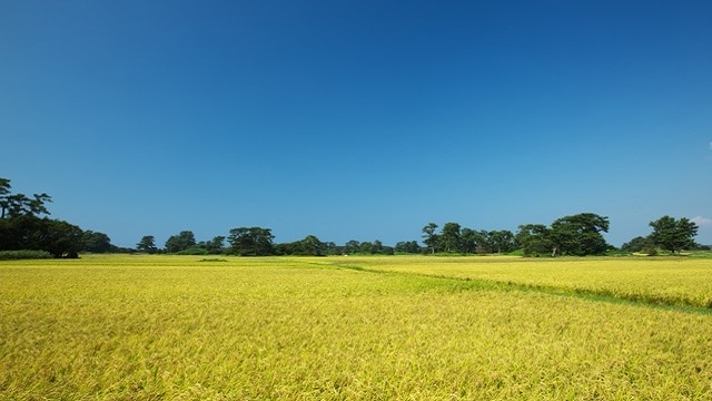 7 Touristenplätze in der Stadt Kisakata in Nikaho City! Genießen Sie den Mount Chokai und das Meer Japans