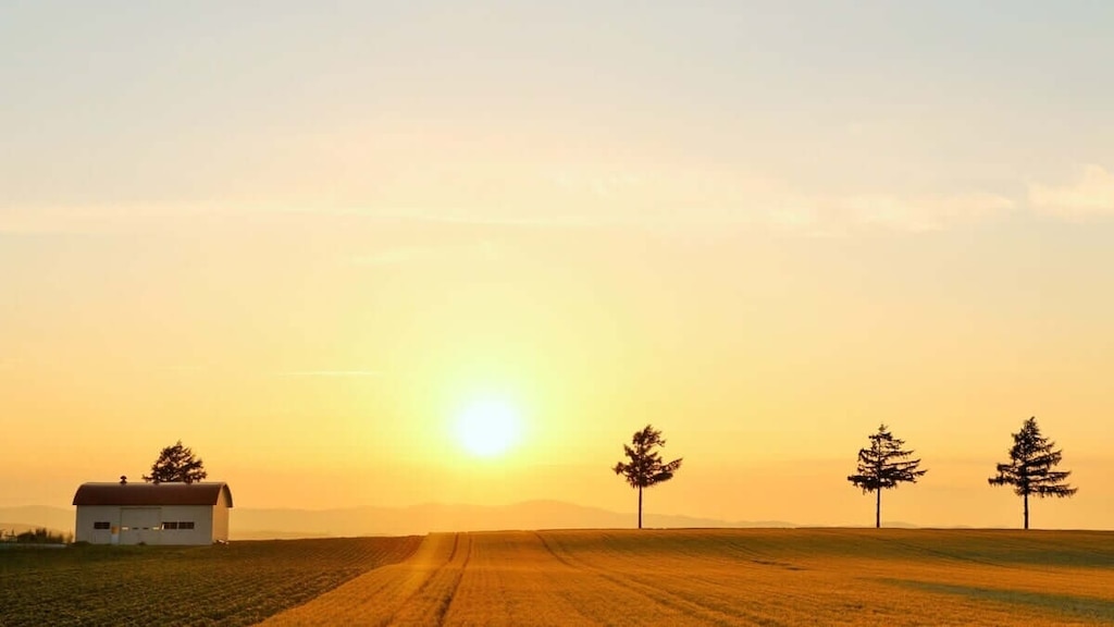 【Memanbetsu】 MARCHEN HILL 