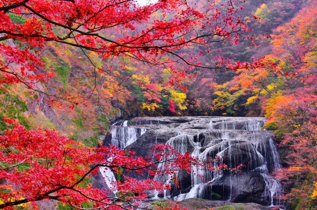Tour durch heiße Quellen und lokale Aromen! 4 Touristenplätze in der Umgebung von Fukuroda Onsen in Daigo Town!