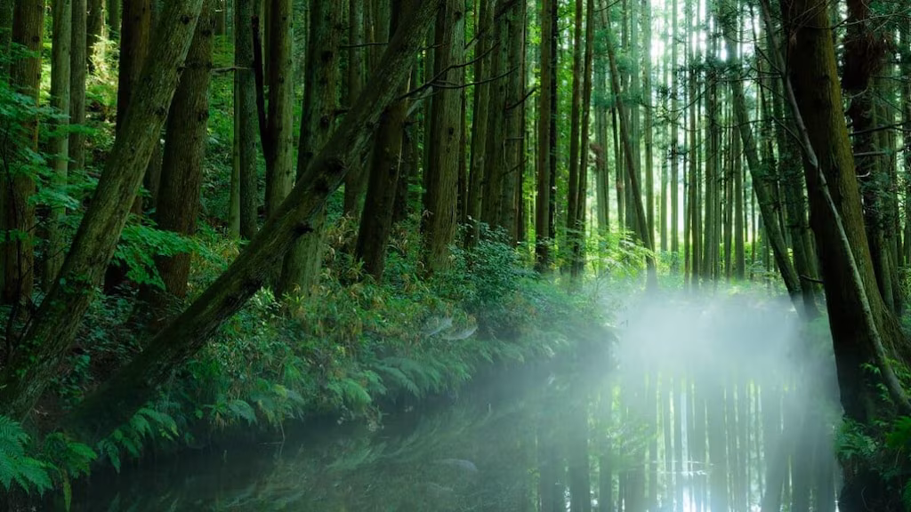 Top 5 empfohlene Touristenplätze in der Stadt Shōnai, Präfektur Yamagata 