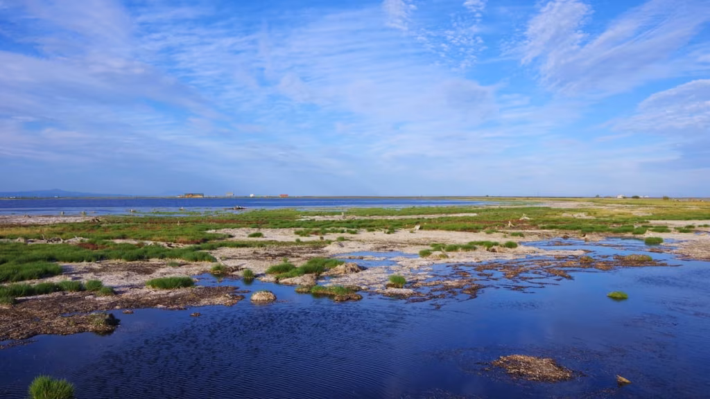 [Ost-Hokkaido] Reiseführer zur Notsuke-Halbinsel 