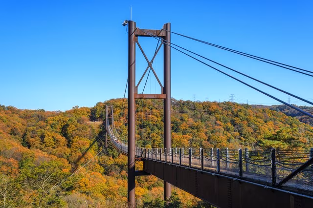 6 sorgfältig ausgewählte Orte, um die reiche Natur und den Charme von Katano in vollem Umfang zu genießen