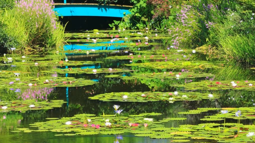 Empfohlene 4 Touristenattraktionen rund um das Dorf Kitagawa, Präfektur Kochi