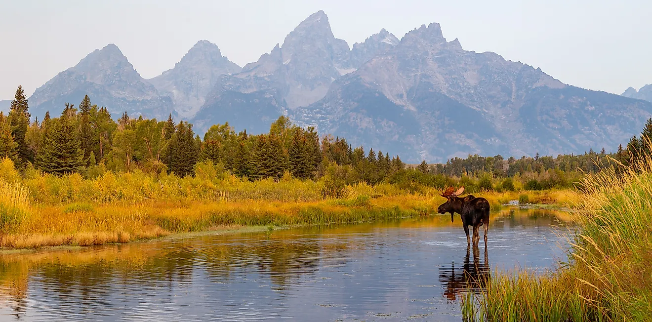 Die 6 besten Orte, die Sie diesen Herbst in Wyoming besuchen sollten