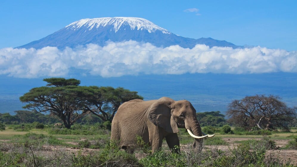 Der 5-Gesichter höchste Gipfel in Afrika! Kilimanjaro National Park, ein Weltkulturerbe 