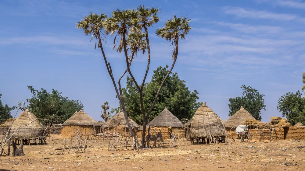 Seifen und Honig, die Frauen lieben werden! Empfohlene Souvenirs aus Nigeria