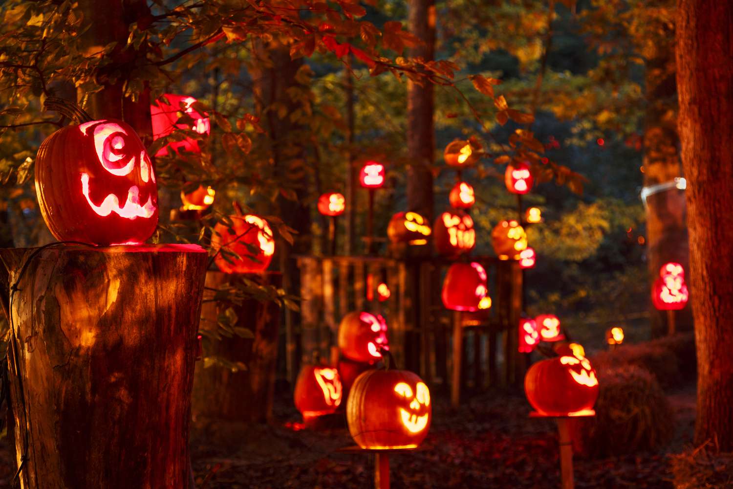 7 kostenlose Halloween 