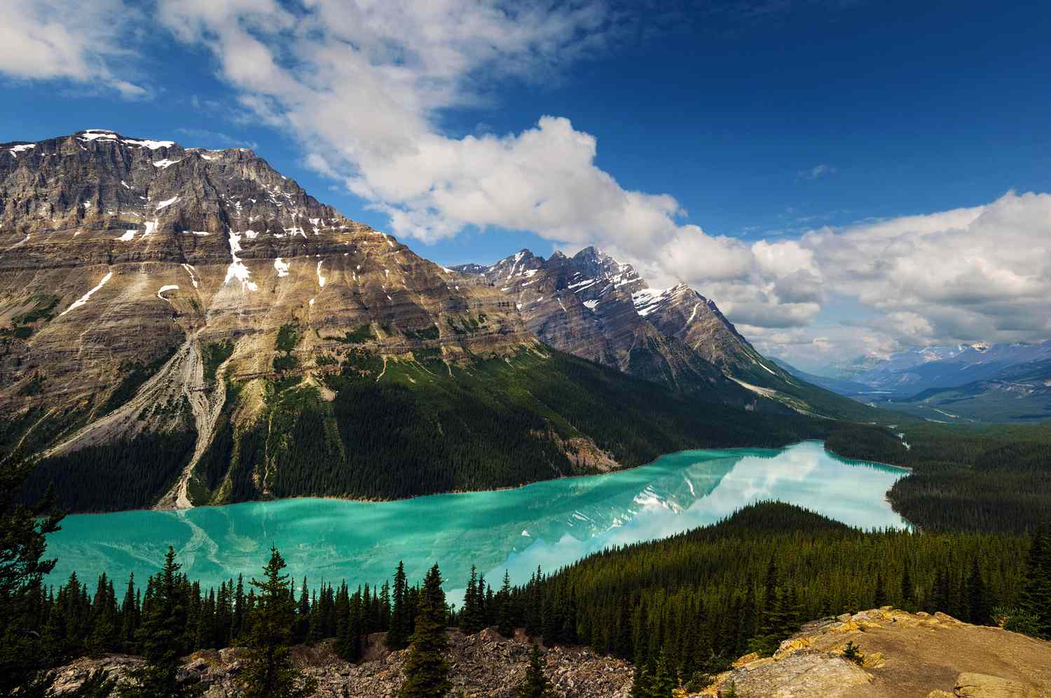 Entdecken Sie das gletschale blaue Wasser des Peyto Lake