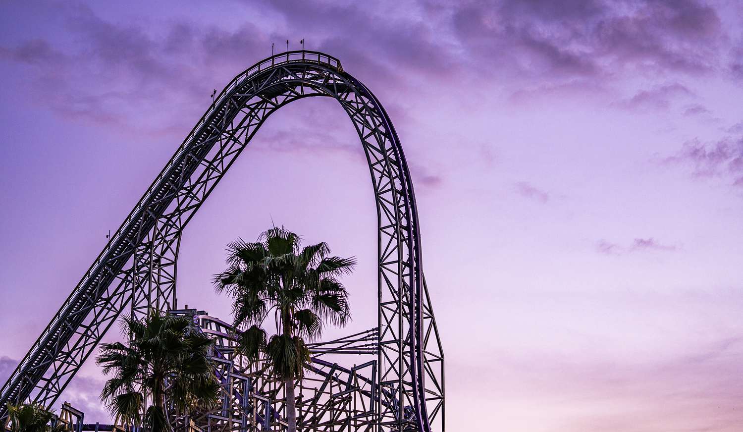 Die 10 besten Dinge in Busch Gardens Tampa Bay zu tun
